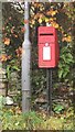 Post box, Thornthwaite