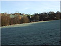 Frosted grazing, Gawthorpe