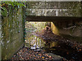 The view from downstream of a bridge over Mully Brook near Riddlecombe