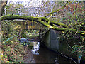 The view from upstream of a bridge over Mully Brook near Riddlecombe