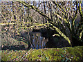 Looking down Mully Brook from Tittywater Bridge