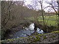 Looking up Mully Brook from Winswood Bridge