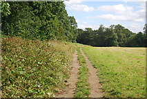 SE3058 : Permissive Path, Bilton Beck Wood by N Chadwick