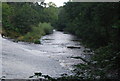 River Nidd below Scotton Mill Weir