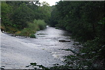 SE3158 : River Nidd below Scotton Mill Weir by N Chadwick