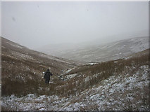 NY4608 : Snowing in Wren Gill by Karl and Ali