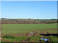 View north from Manor Pound Lane