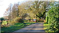 Old nurseries, Estavarney Lane