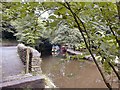 Peak Forest Canal