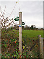 Footpath sign for The Angles Way and to Ashby church