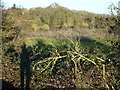 Disused pit in South Raynham, Norfolk