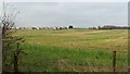 SD7005 : Plodder Lane farmland by Bradley Michael