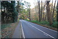 Foxhall Rd, Brookhill Wood