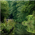 Macclesfield Canal south of Oakgrove, Cheshire