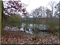 Pond near Shobdon church