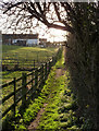 Sunlit footpath