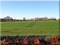 Forge Barn Field