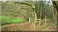 Footpath entrance to Flaxley Woods