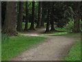 O2116 : Powerscourt Gardens - Woodland path by Colin Park
