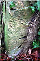 Benchmark on Banbury Road gatepost