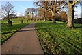 Tree-lined road in Eyford Park