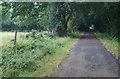 Tarka Trail approaching Petrockstowe station