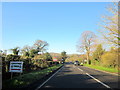 Turn Right For Christmas Trees Near Lower Binton