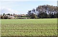 Farmland by Ferring Rife