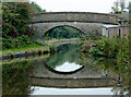 SJ9170 : Danes Moss Bridge south of Macclesfield, Cheshire by Roger  D Kidd