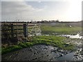 SE4572 : Waterlogged field entrance, northwest of Pilmoor Grange by Christine Johnstone