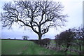 Bridleway from Riby to the Great Limber road