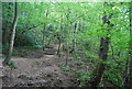 Footpath in the Nidd Gorge