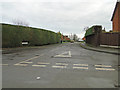 Daffodil Way leading to Holly Close