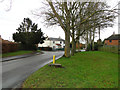 Mill Street, from New Road, Mattishall