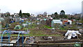 Allotments in Wellington