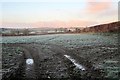 Field south of Menheniot