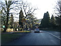 Abbey Lane at Ecclesall Wood