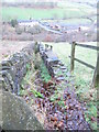 Footpath - Beestonley Lane