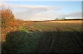 Field near Trewint