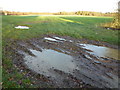 Farmland north of Sharp