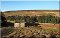 Small building near Whitfield Brow