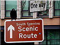 H4572 : Rook perching on a sign, Omagh by Kenneth  Allen