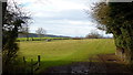 Pasture land next to the A417