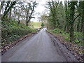 Narrow lane at Bullhill Brook