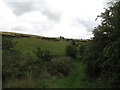 The Moat Pad climbing over the stoss end of the Moat Hill drumlin