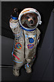 TQ3877 : "Gravity Bear", Paddington Bear, Royal Observatory by Oast House Archive