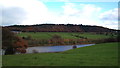 Fields on the east side of Rudyard Lake