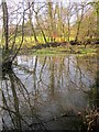 Pool near Lower Venton