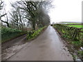 Heads Lane near Waldershaigh