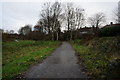 Trans Pennine Trail at Tongue  Gutter, Parson Cross